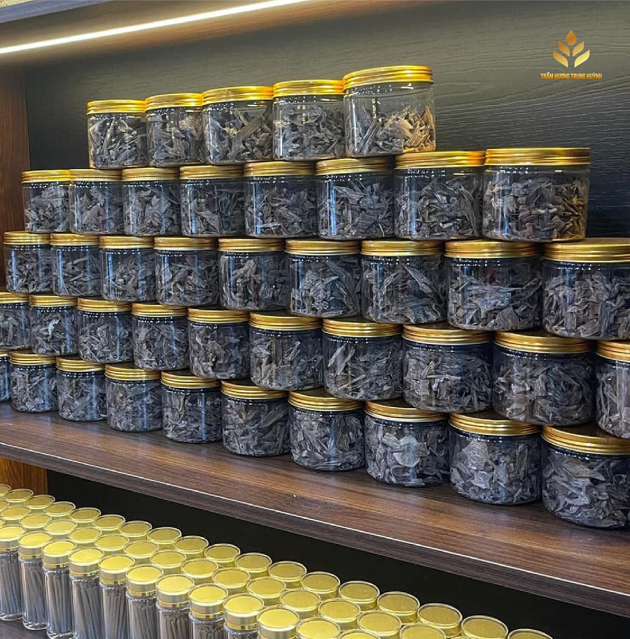 Giác kiến kim cap cấp xông đốt